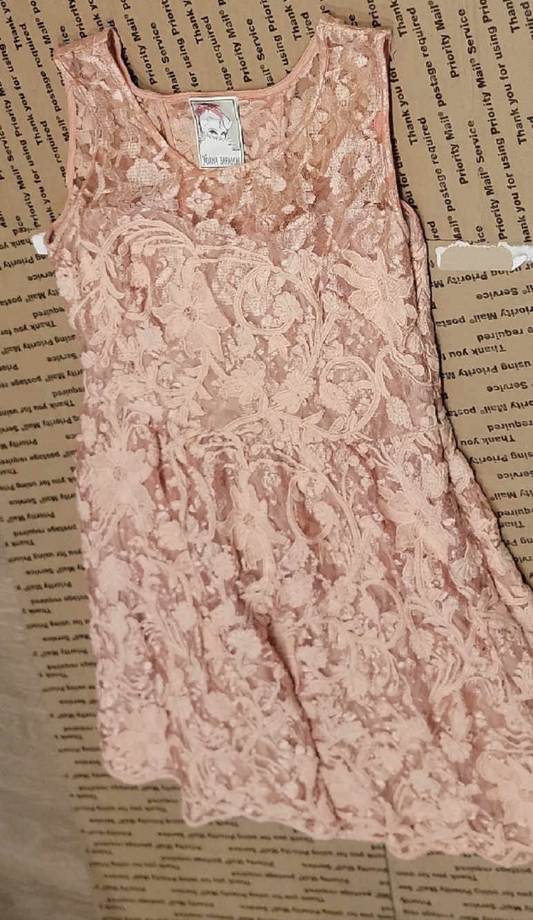 Yoana Baraschi Blush Lace Dress